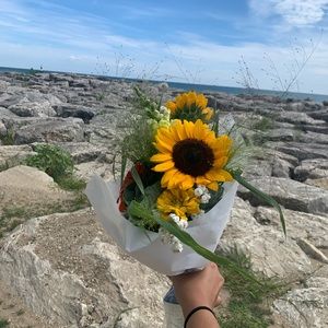 Meet your Posher, Brittany